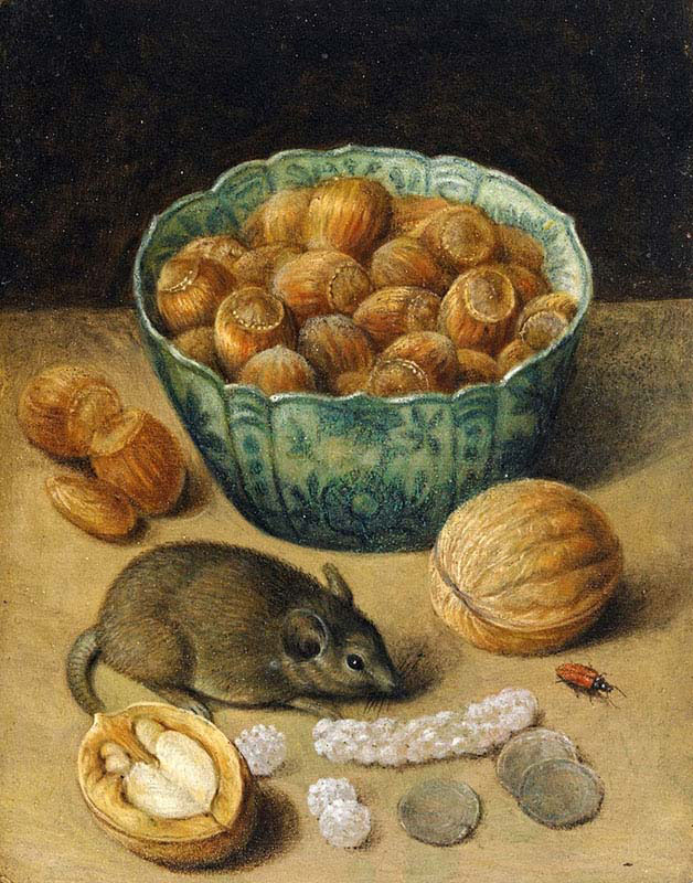 Still life with Mouse